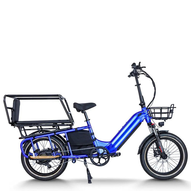 Cargo E-Bike | 750W Cargo E bike | Electric Cargo Bike AEB69