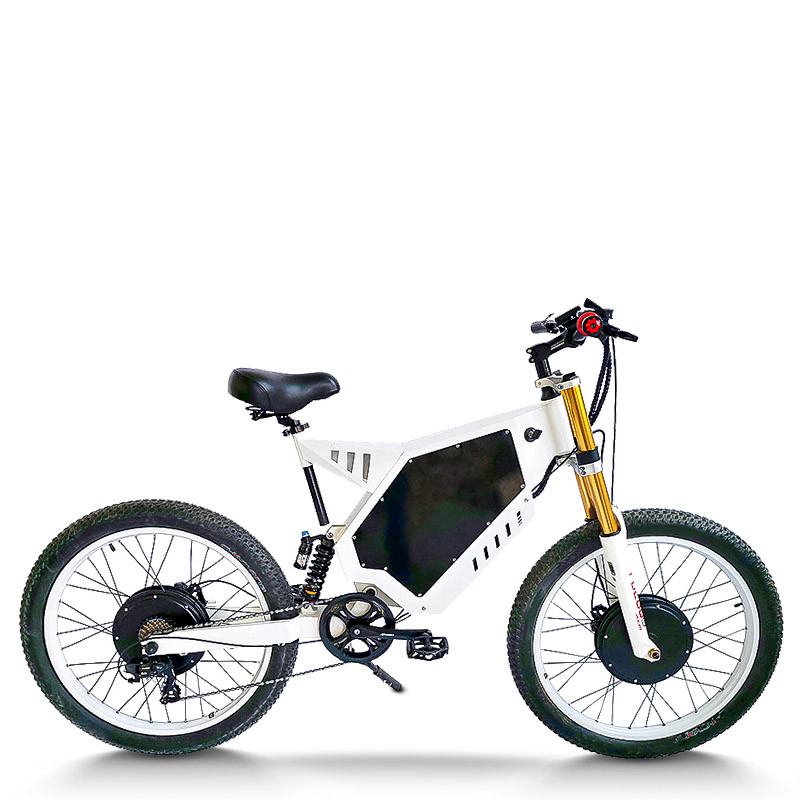 Dual Motor