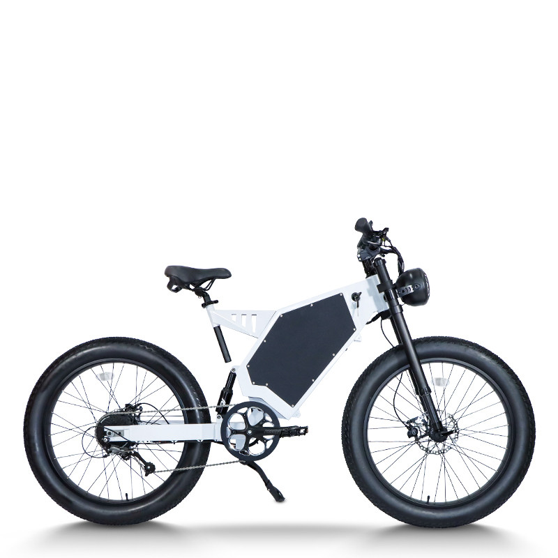 Dual Motor 48V