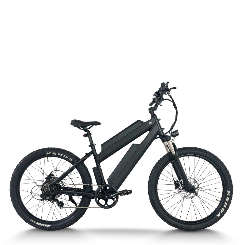 Fat Tire long range ebike | Dual Battery | AEB28MX