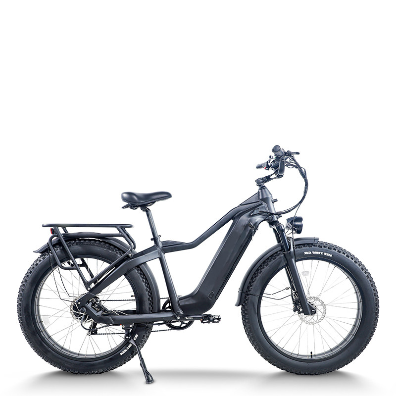 Fat Tire E-Bike | All Terrain 750W | AEB62A