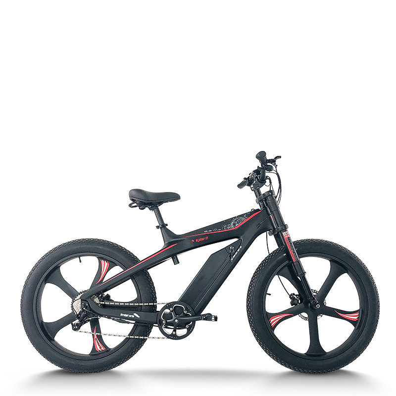 Fat Tire mountain e bike | 750W | AEB55