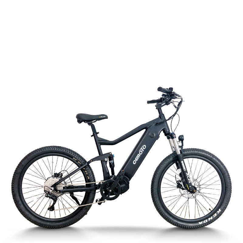 Fat Tire electric bike | 750W off road | AEB52X