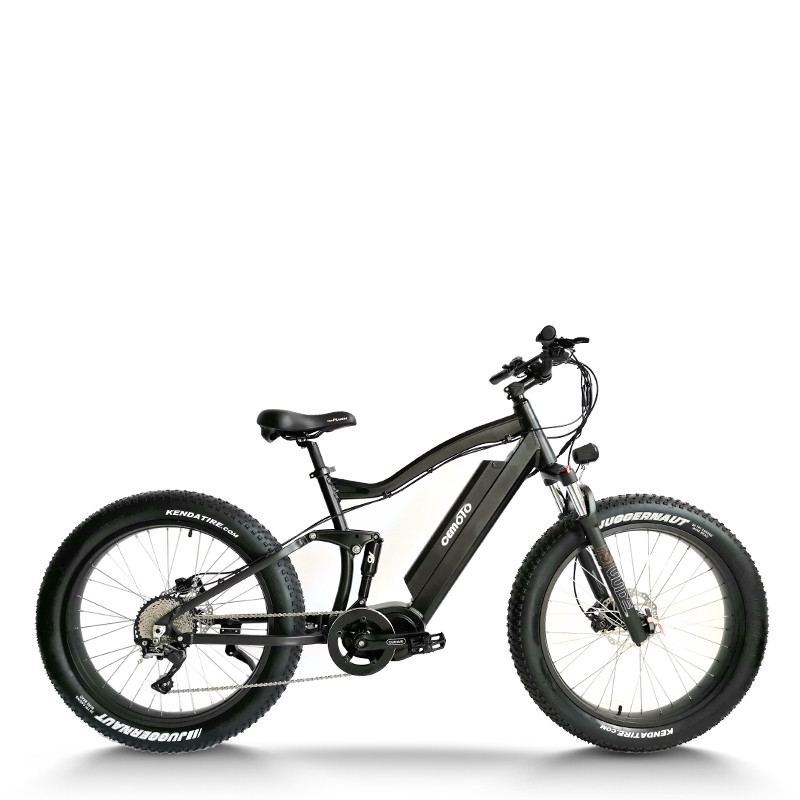 Fat Tire e-bike | 750W off road | AEB33A
