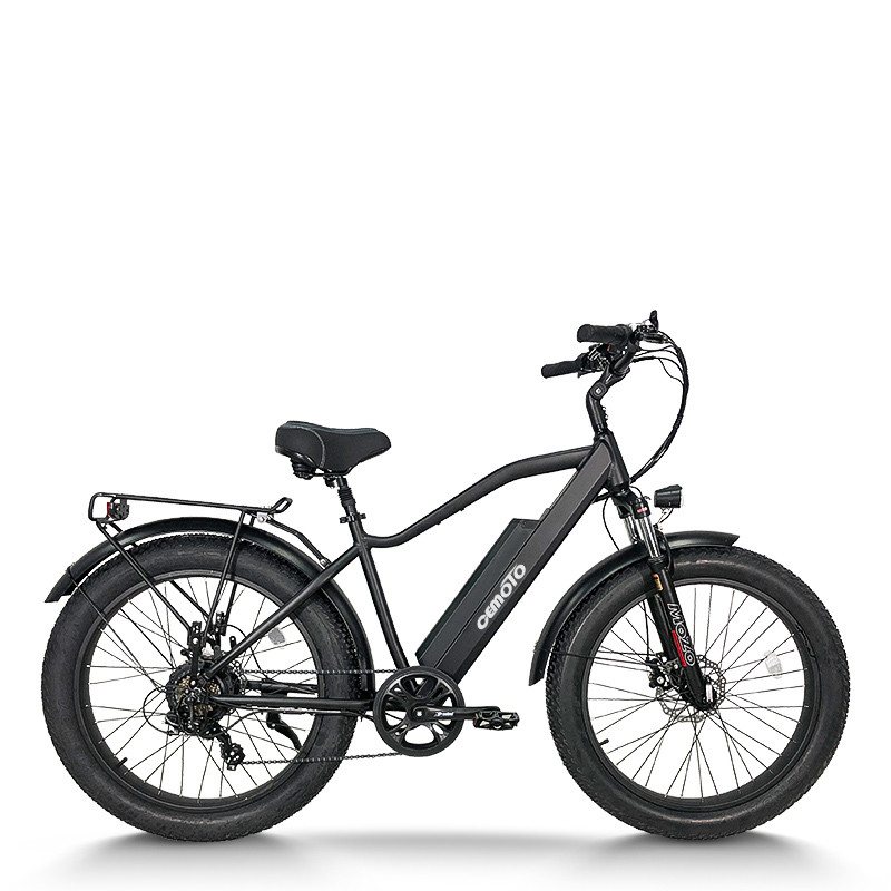 Fat Tire E Bike | 750W e mountain bike | AEB28A