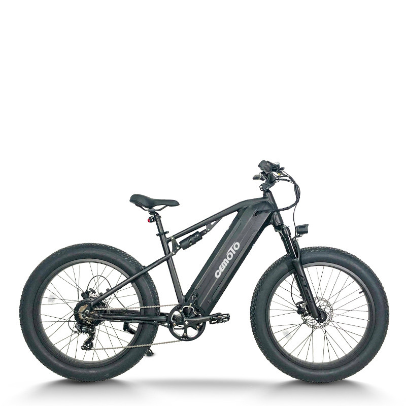 Fat Tire Electric Bike | 750W Dual Battery | AEB59A