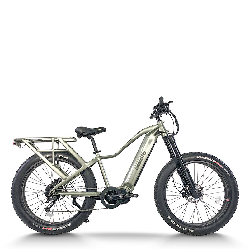 Fat Tire mountain e bike | 750W | AEB58A