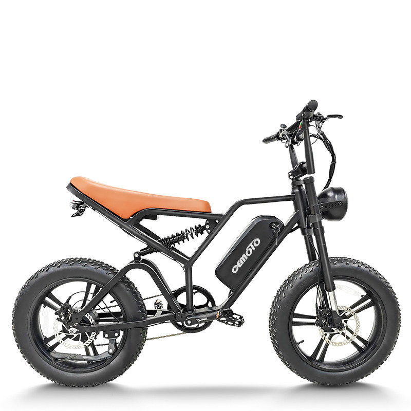 Fat Tire E Bike | 750W Mountain | AEB64