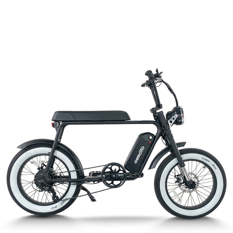 Fat Tire E Bike | 750W All Terrain | AEB50