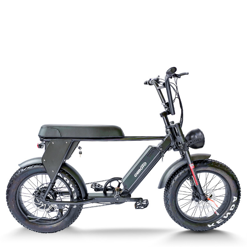 Fat Tire E Bike | 1000W All Terrain | AEB49