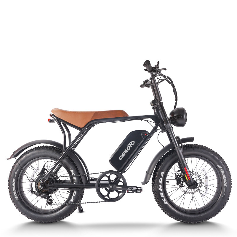 Fat Tire E Bike | 750W All Terrain | AEB63