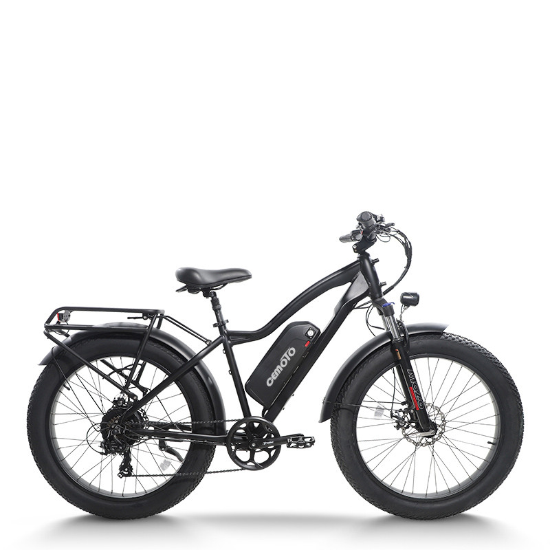 mountain e bike | 1000W MTB | AEB28D