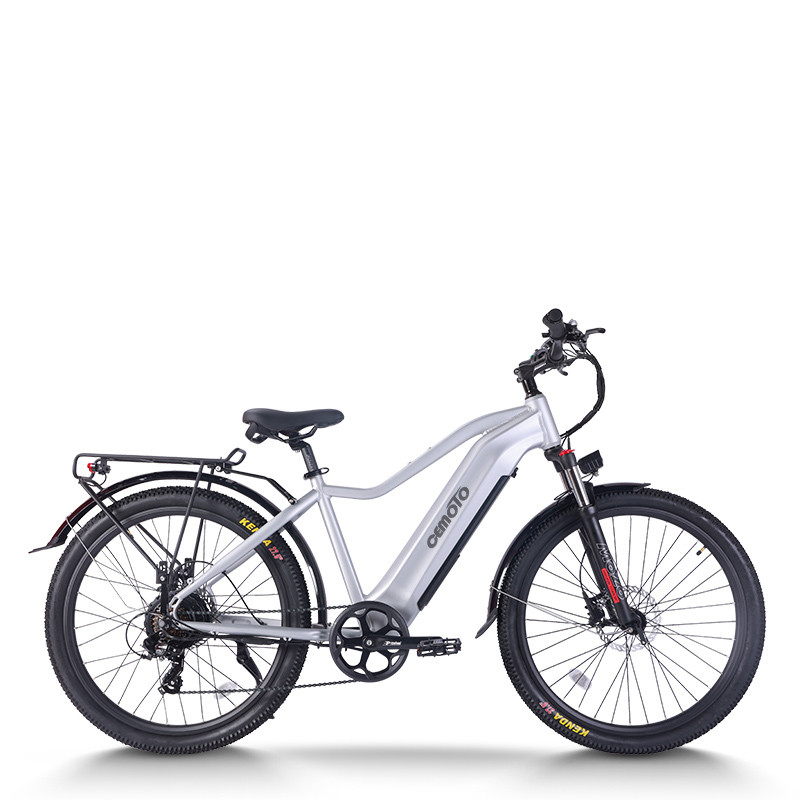 E Mountain Bike | 750W hub motor | AEB52