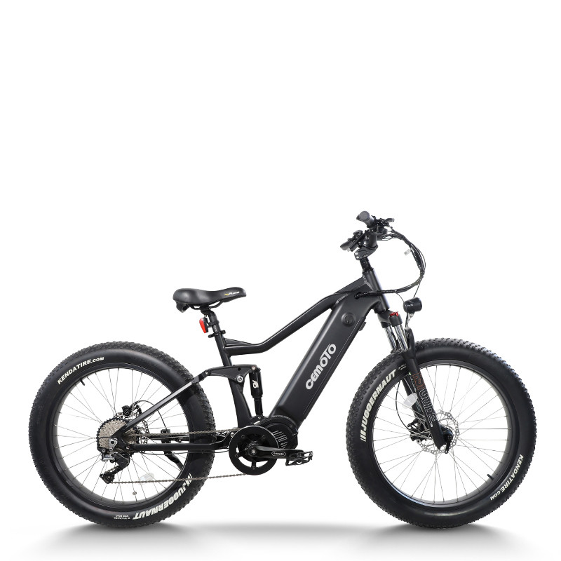 Fat Tire electric bike | 750W off road | AEB52AX