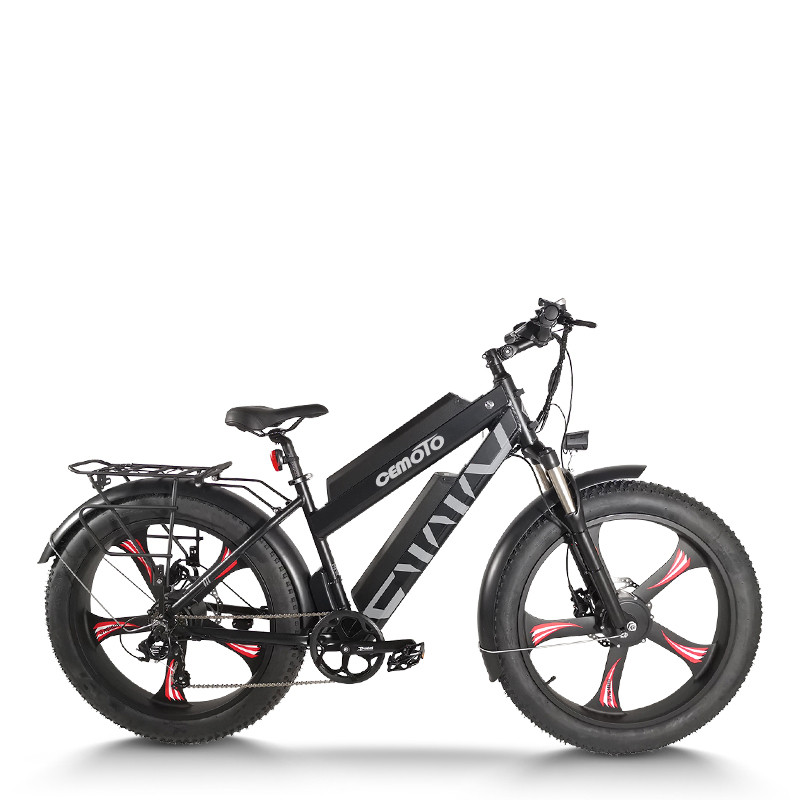 Dual Motor Fat Tire | 500W*2 Dual Battery | AEB28MX