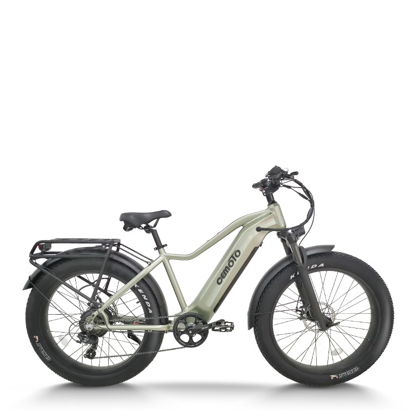 All Terrain Fat Tire | 1000W 26*4.0 | AEB52A