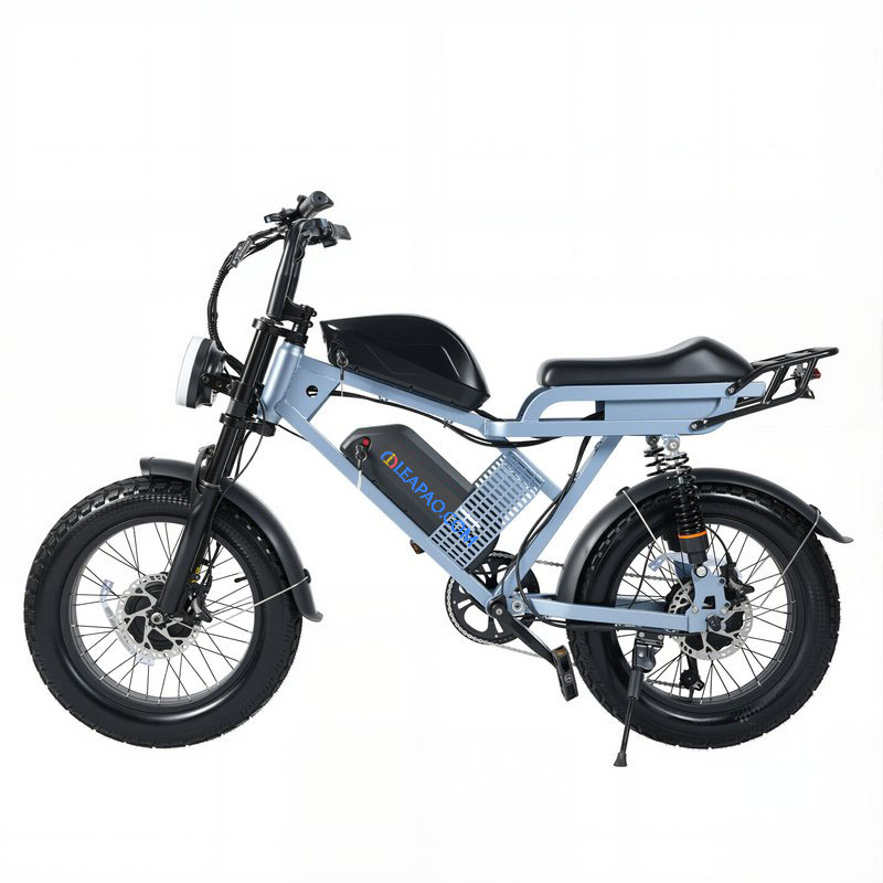 Folding eBike | 750Wx2 Dual Motor Fat Tire | AEB20-002