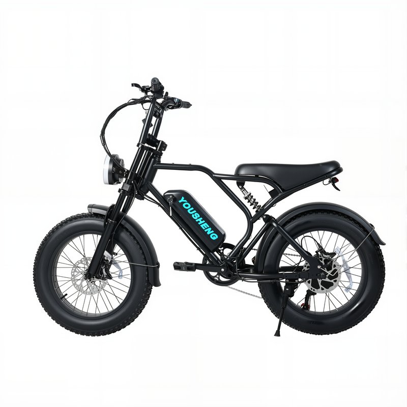Folding eBike | 500W 3.0" Tire Compact | AEB20-005