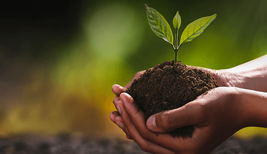 Sustainability