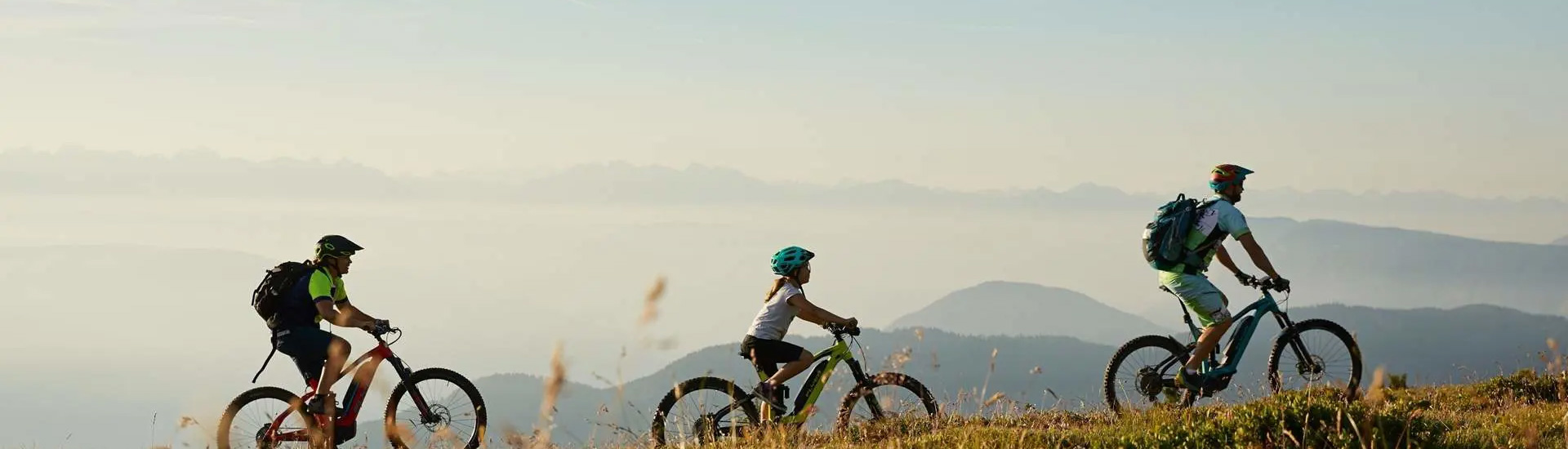Build your own electric bicycle brand