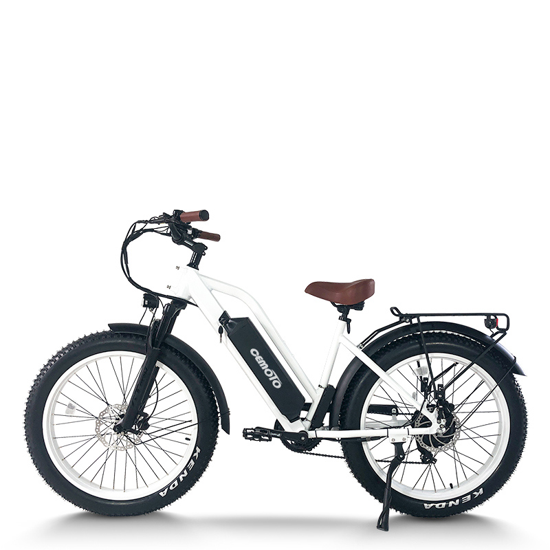 step through electric bike | City e bike | step-thru e bike AEB31A