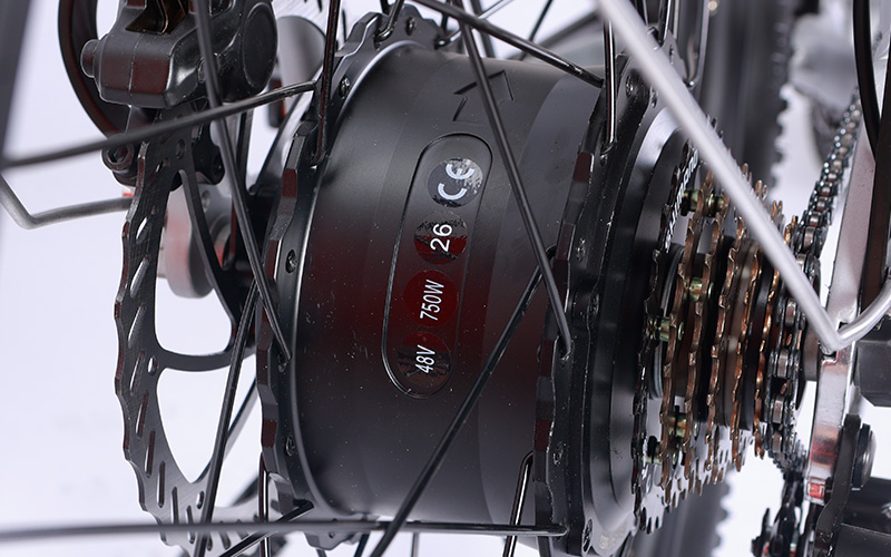 Motor